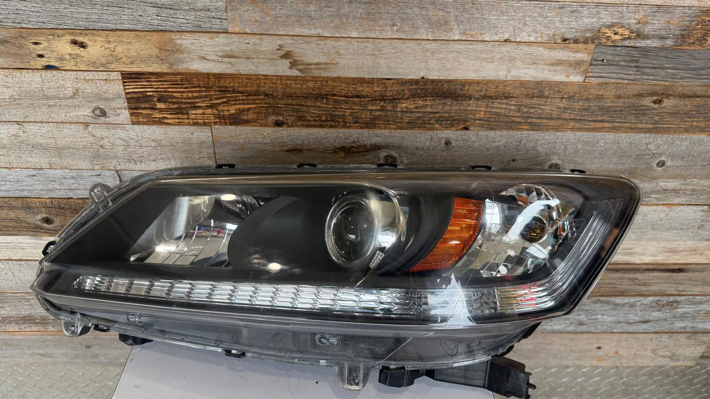 HONDA ACCORD 2013-2015 Driver Headlamp assy composite EX-L V-6|TOURING; 3.5L; Sedan; Halogen; w/LED DRL