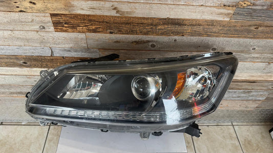 HONDA ACCORD 2013-2015 Driver Headlamp assy composite EX-L V-6|TOURING; 3.5L; Sedan; Halogen; w/LED DRL