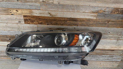 HONDA ACCORD 2013-2015 Driver Headlamp assy composite EX-L V-6|TOURING; 3.5L; Sedan; Halogen; w/LED DRL