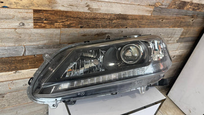 HONDA ACCORD 2013-2015 Driver Headlamp assy composite EX-L V-6|TOURING; 3.5L; Sedan; Halogen; w/LED DRL