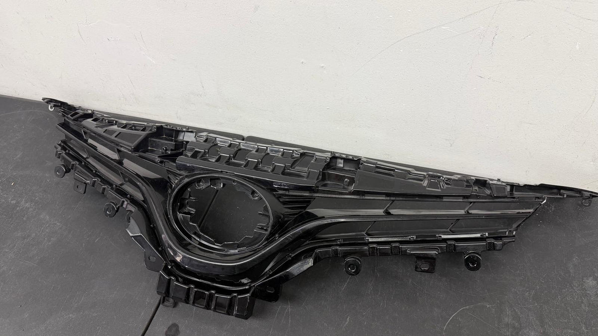 TOYOTA CAMRY 2018-2020 Grille assy HYBRID; LE/L; Grille Only