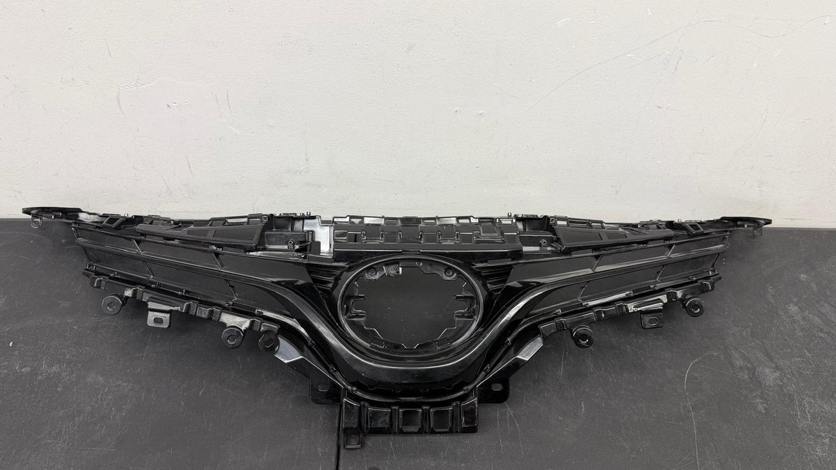 TOYOTA CAMRY 2018-2020 Grille assy HYBRID; LE/L; Grille Only